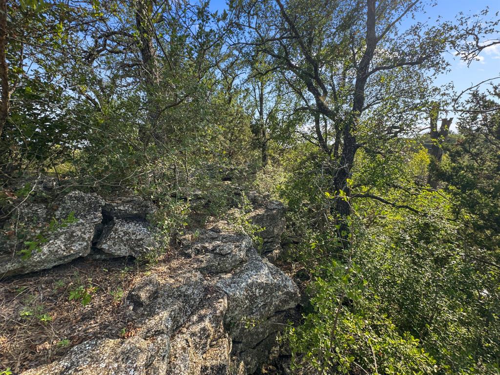 281 Highway 281, Unit O281S Evant, TX 76525 - Photo 29 of 37 View of wooded area