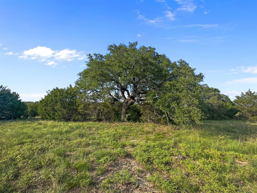 281 Highway 281, Unit O281S Evant, TX 76525 - Photo 31 of 37 View of tree filled area