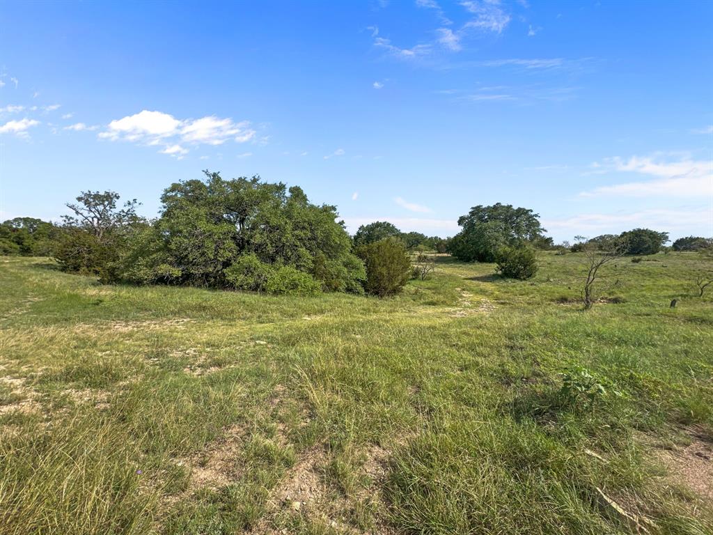281 Highway 281, Unit O281S Evant, TX 76525 - Photo 32 of 37 View of local wilderness with rural landscape