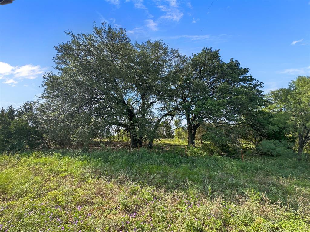 281 Highway 281, Unit O281S Evant, TX 76525 - Photo 34 of 37 View of undeveloped land