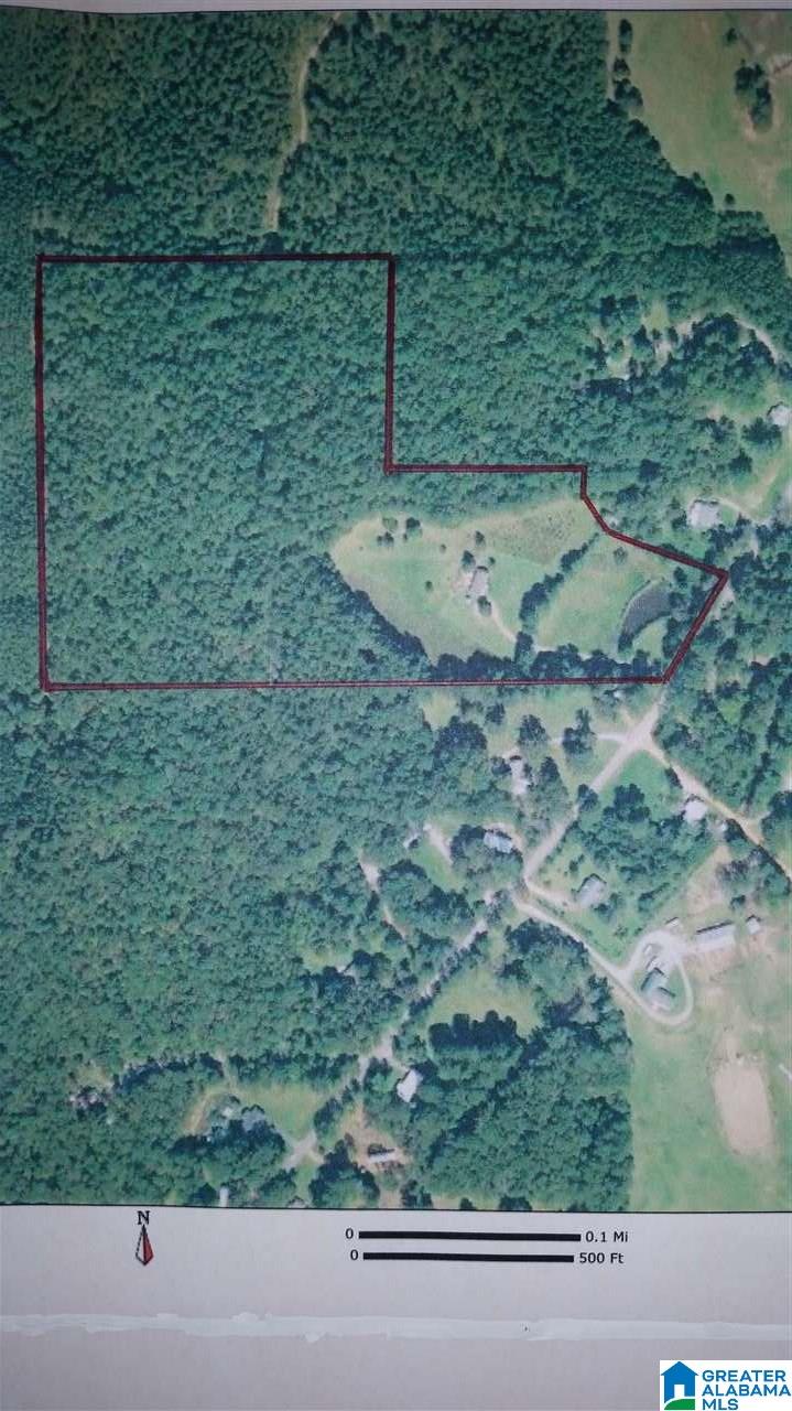 1715 County Road 33 Calera, AL 35040 - Photo 12 of 21