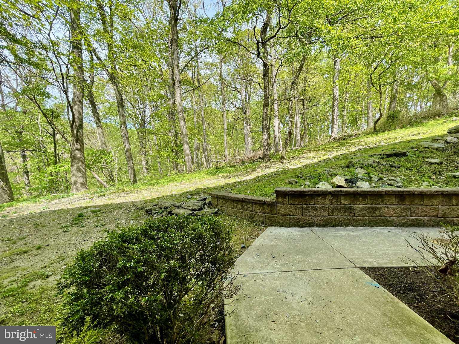 319 Shawmont Avenue, Unit A Philadelphia, PA 19128 - Photo 17 of 21