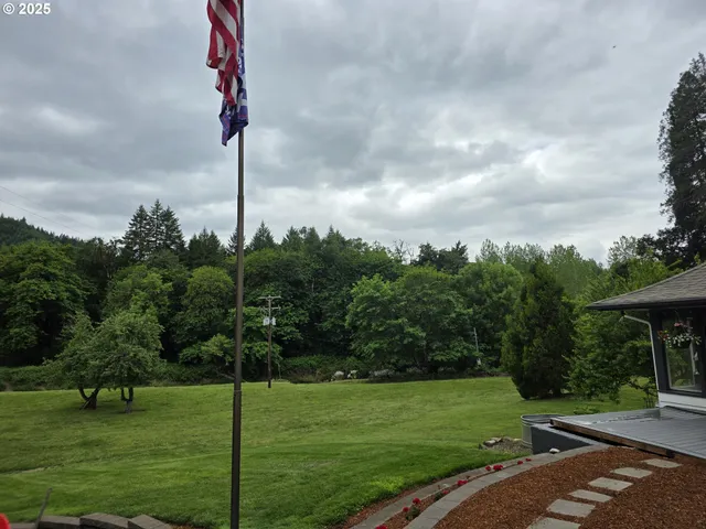 a view of a park with a tree in the background