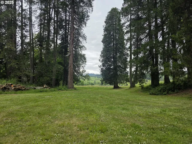 a grassy field with trees in the background