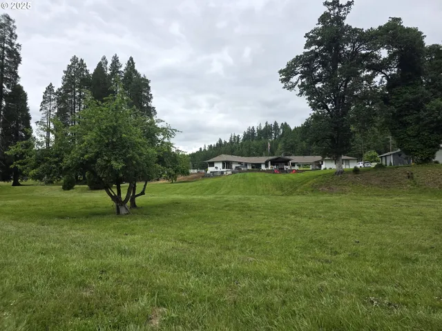 a green field with lots of trees in the background