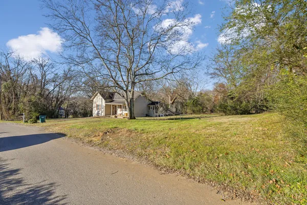 a view of dirt yard with large trees
