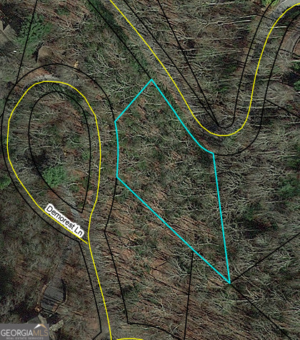 Lot 17 Ridgepole Drive Sky Valley, GA 30537 - Photo 4 of 4 a bird view image with a swing