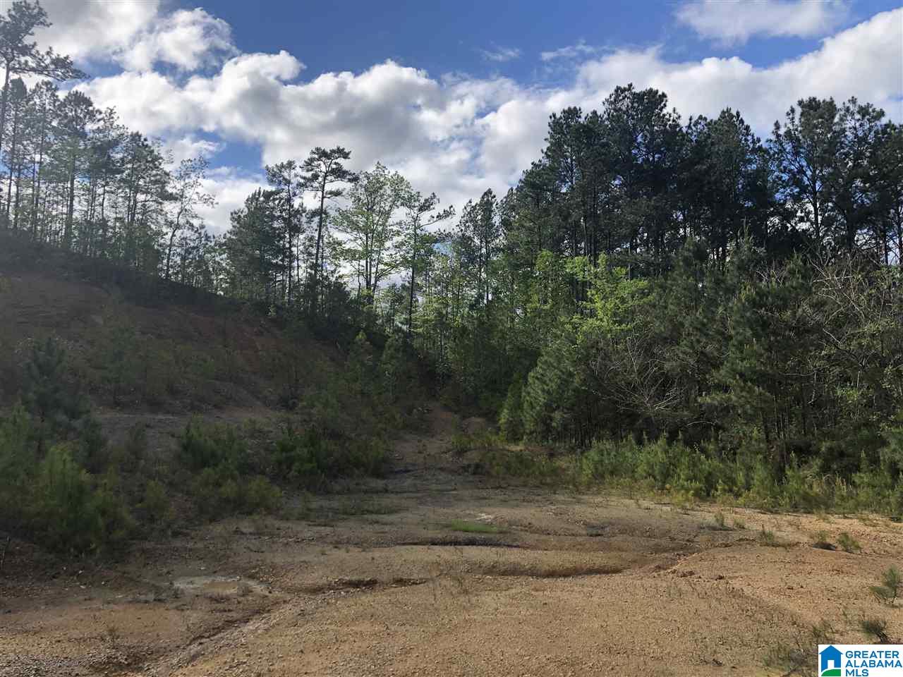0 Mountain View Road, Unit 1 Odenville, AL 35120 - Photo 2 of 4