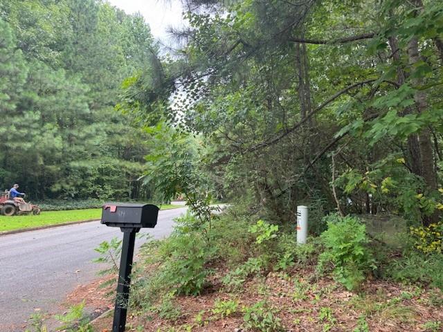 1809 Silver Ridge Court Stone Mountain, GA 30087 - Photo 3 of 10