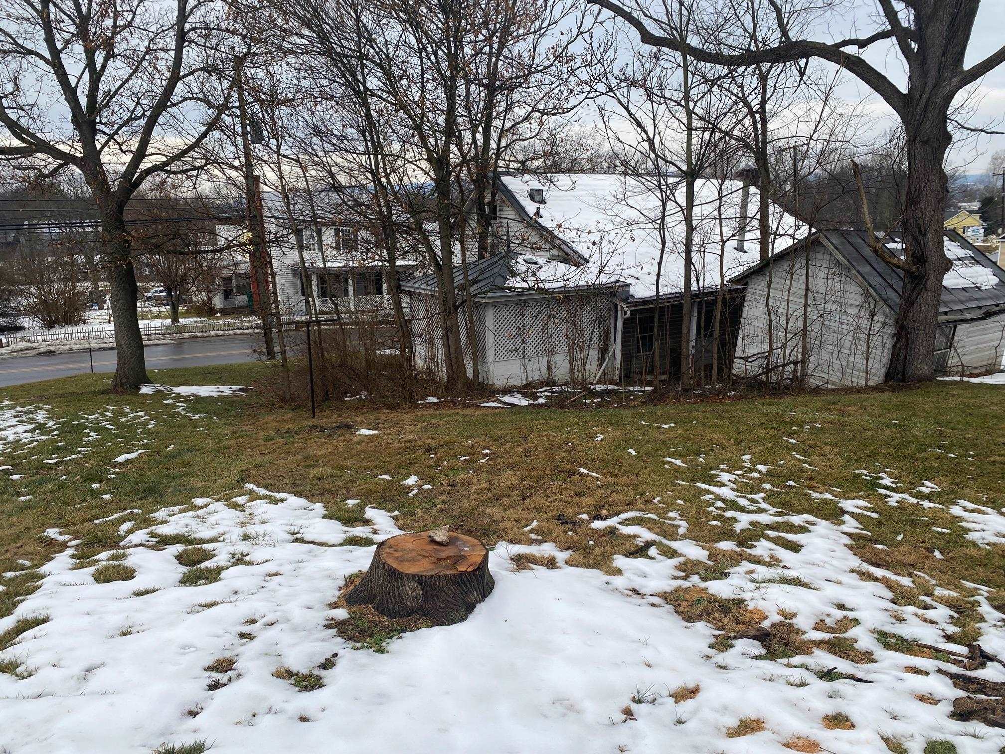 0 Community Circle Timberville, VA 22853 - Photo 3 of 3 a view of a yard with large trees