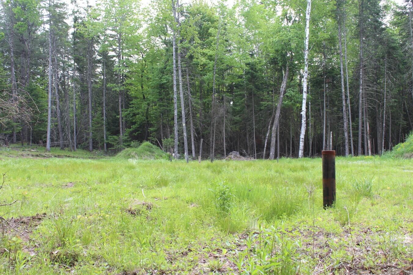 132 Fred Gay Road Indian Lake, NY 12842 - Photo 4 of 7 06