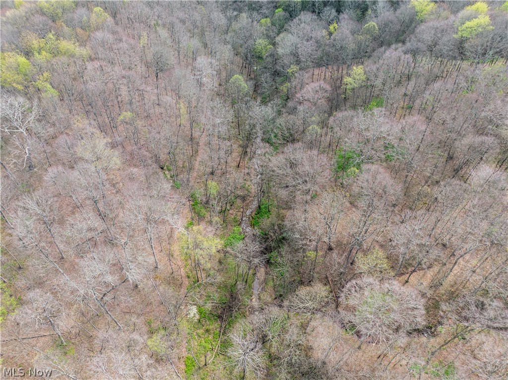 East Captina Highway Road Alledonia, OH 43902 - Photo 3 of 12