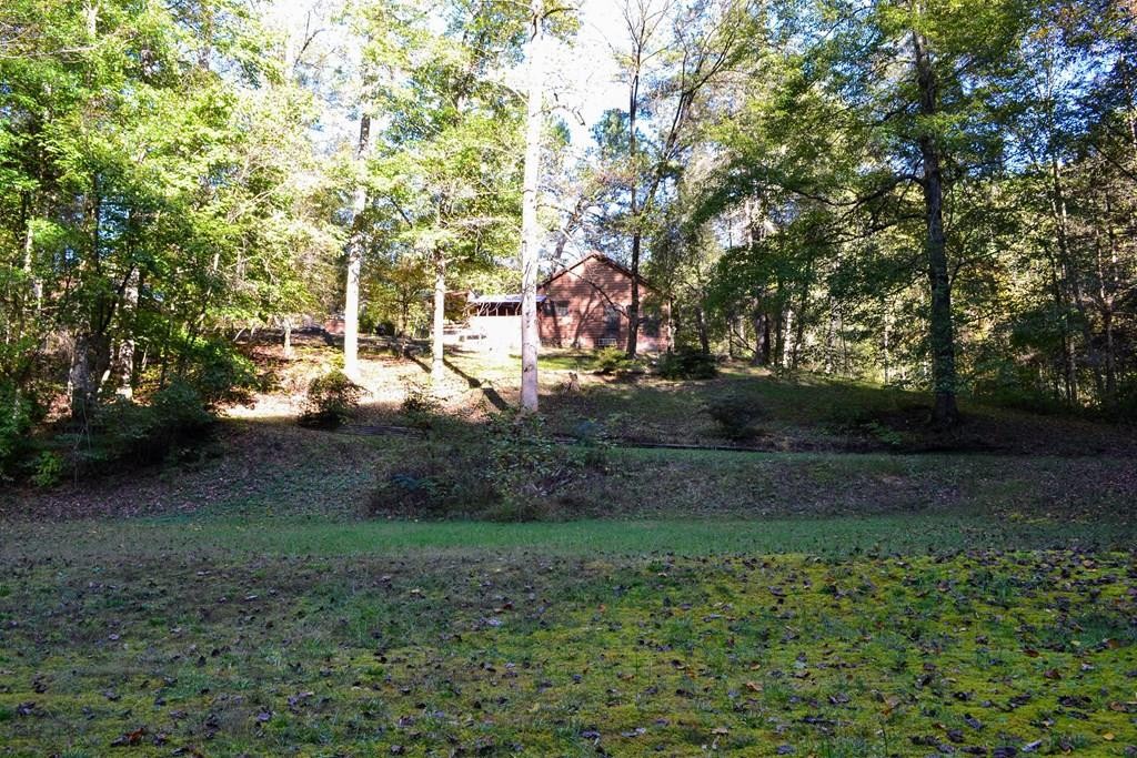 1902 Wears Valley Road Sevierville, TN 37862 - Photo 1 of 48 Gallery Image 1