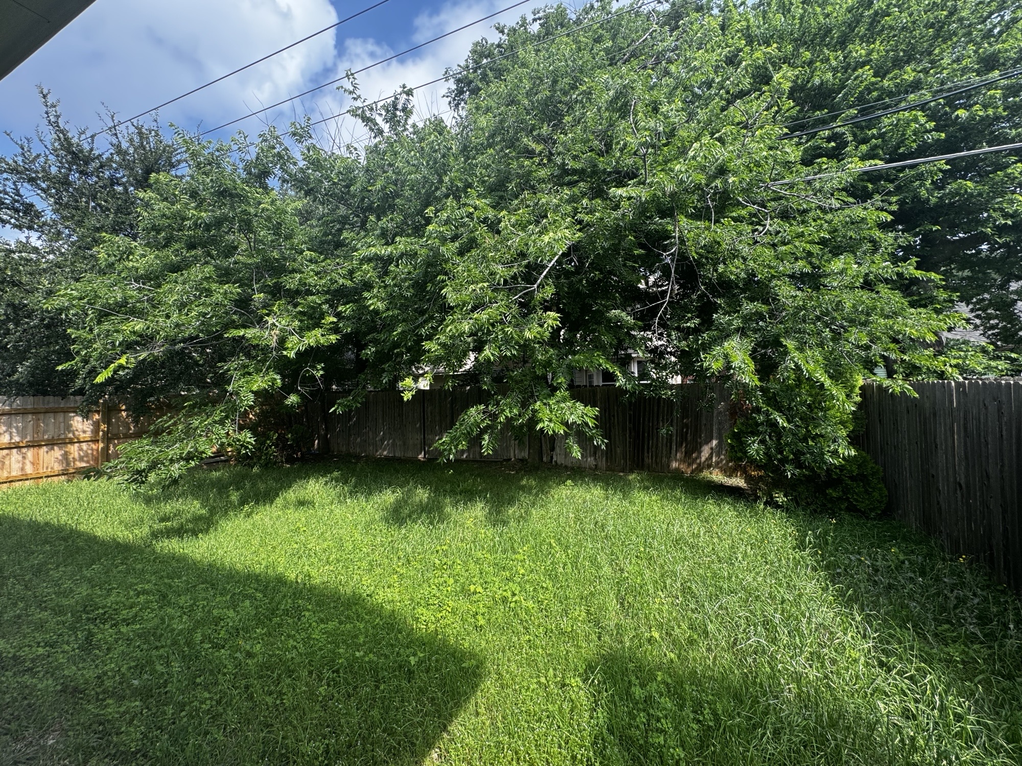 304 Valona Loop Round Rock, TX 78681 - Photo 15 of 15 Private backyard space featuring a wood fence perimeter and mature trees providing natural screening