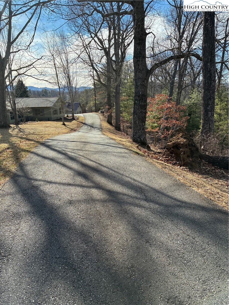 Buckeye Ridge Run Sparta, NC 28675 - Photo 2 of 2 a view of road with large trees