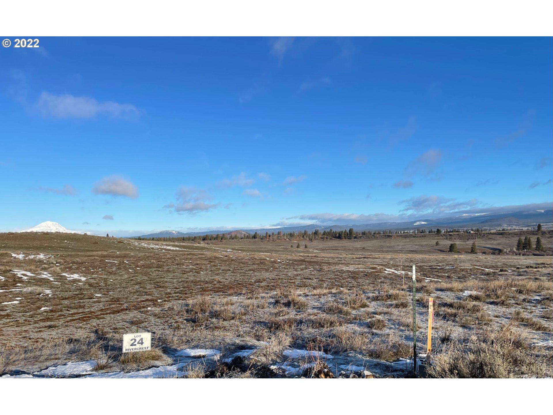 49 Lipo Road Centerville, WA 98613 - Photo 3 of 15 Gallery Image 3