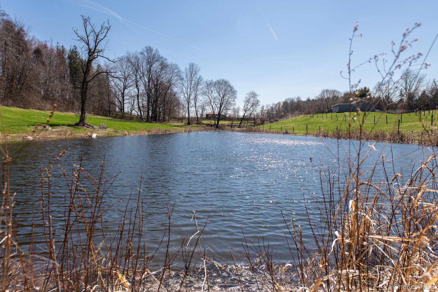 394 Smith Road Hyde Park, NY 12538 - Photo 42 of 48
