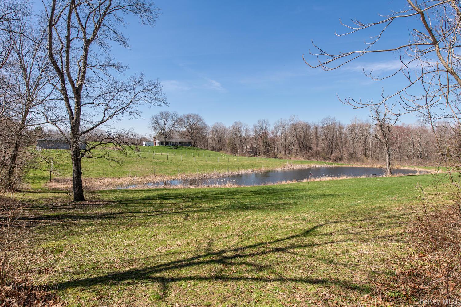 394 Smith Road Hyde Park, NY 12538 - Photo 45 of 48