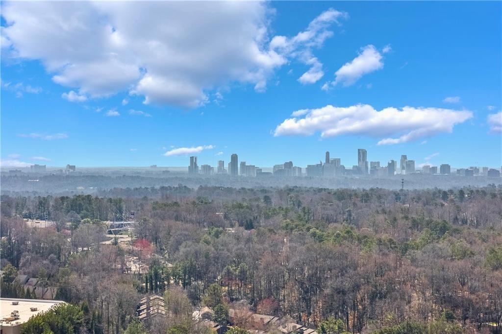 5629 Kingsport Drive, Unit 11 Atlanta, GA 30342 - Photo 52 of 52 a view of a city
