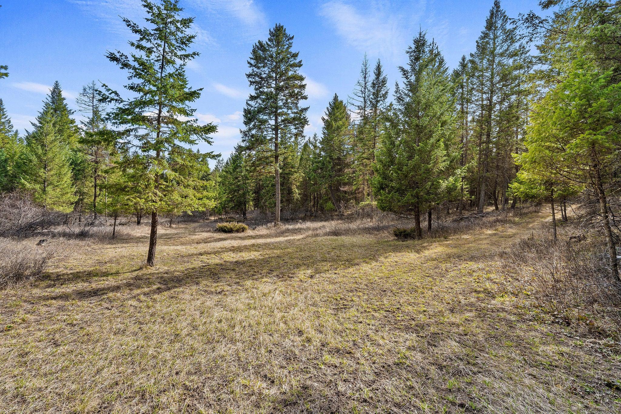 1085 K K M Ranch Road Whitefish, MT 59937 - Photo 70 of 79 Gallery Image 70
