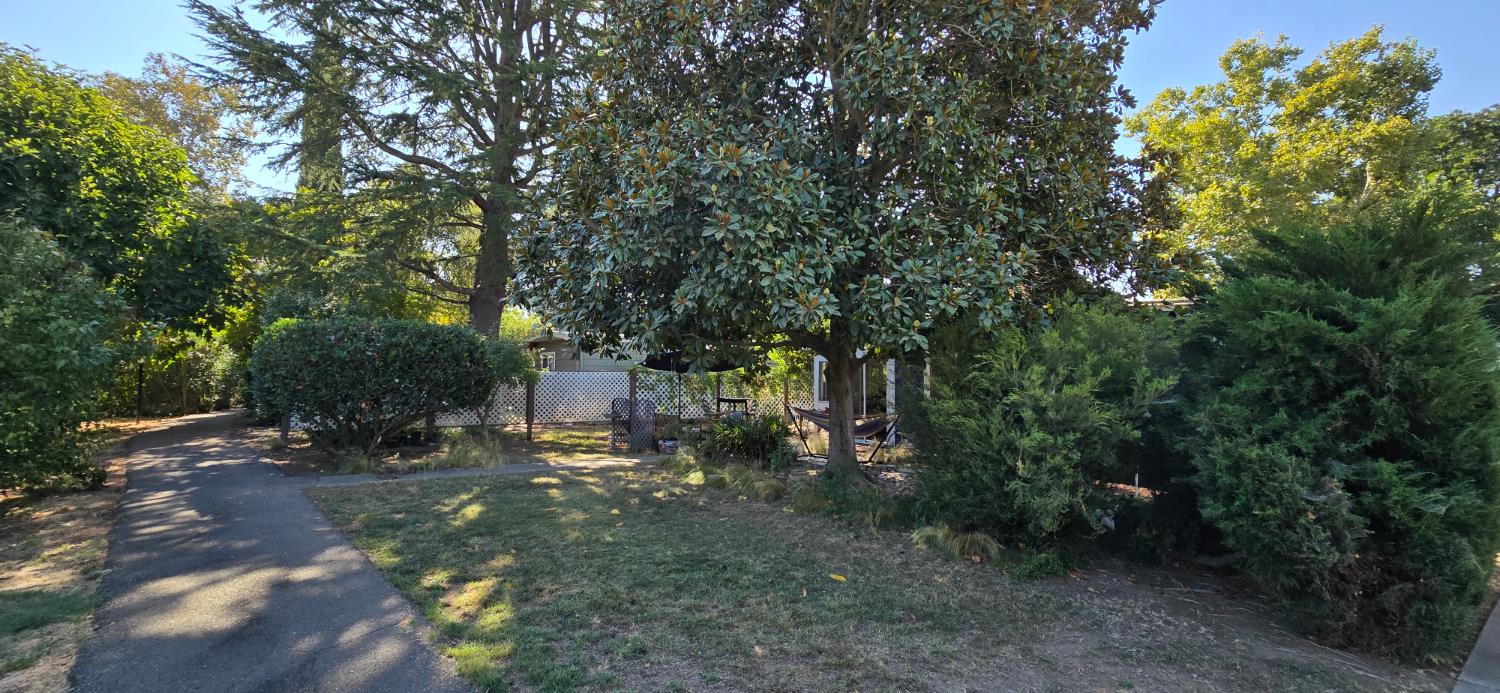 22 Outer Circle Davis, CA 95618 - Photo 37 of 41