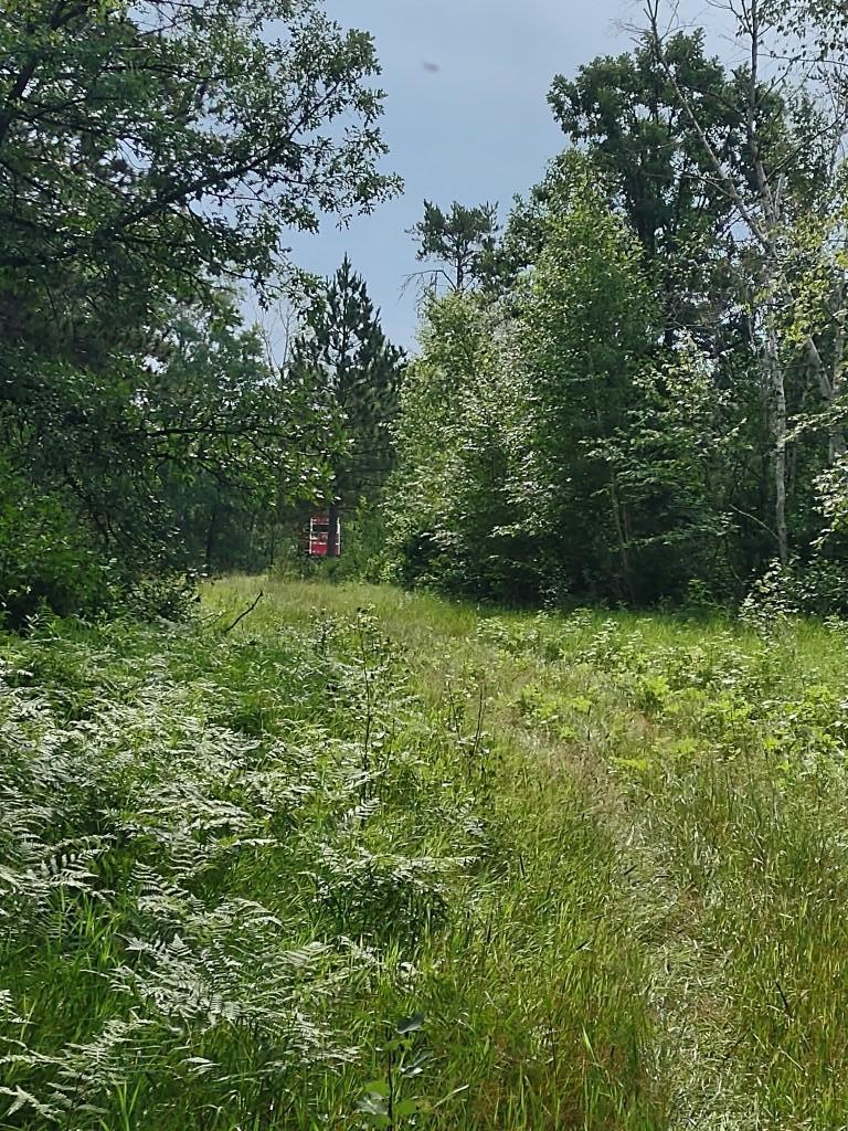 Xxxx 159th Avenue Sebeka, MN 56477 - Photo 12 of 39