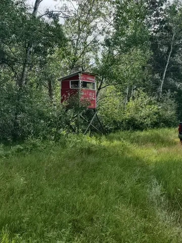 $378,000 | Xxxx 159th Avenue, Sebeka, MN 56477