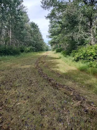 $359,000 | Xxxx 159th Avenue, Sebeka, MN 56477