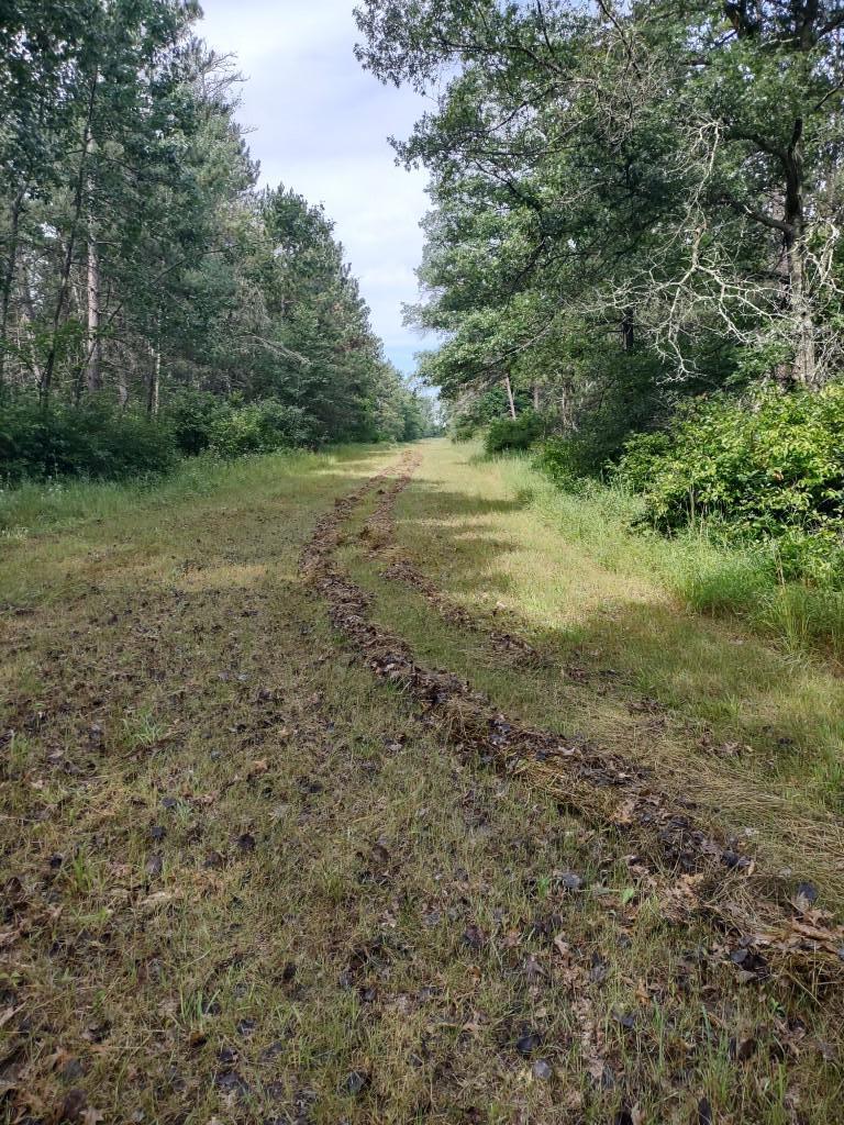 Xxxx 159th Avenue Sebeka, MN 56477 - Photo 16 of 39