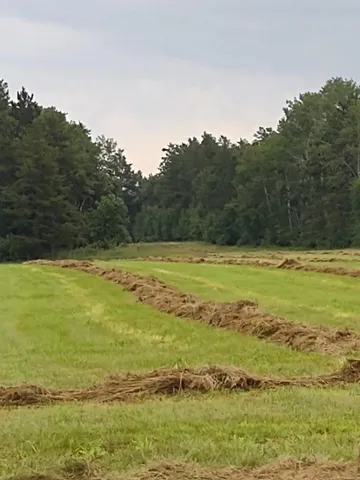 $378,000 | Xxxx 159th Avenue, Sebeka, MN 56477