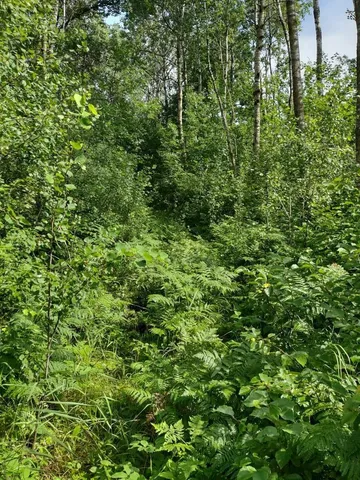 $378,000 | Xxxx 159th Avenue, Sebeka, MN 56477