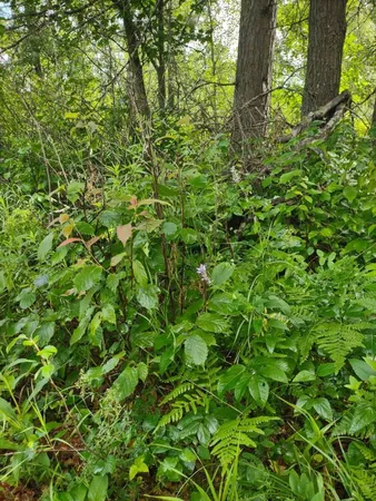 $359,000 | Xxxx 159th Avenue, Sebeka, MN 56477