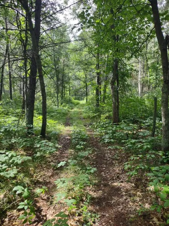 $359,000 | Xxxx 159th Avenue, Sebeka, MN 56477