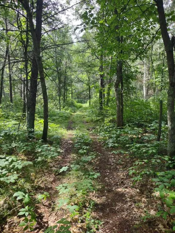 $378,000 | Xxxx 159th Avenue, Sebeka, MN 56477