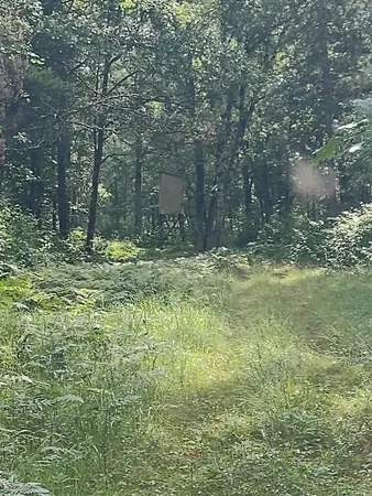 $359,000 | Xxxx 159th Avenue, Sebeka, MN 56477