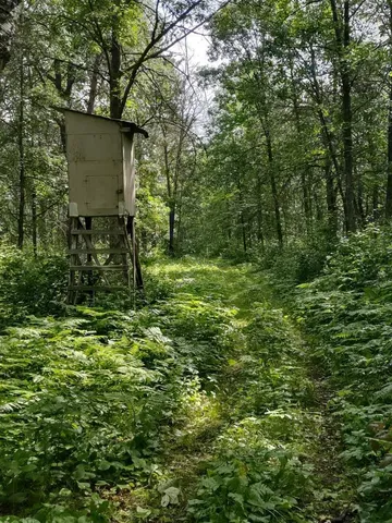 $378,000 | Xxxx 159th Avenue, Sebeka, MN 56477