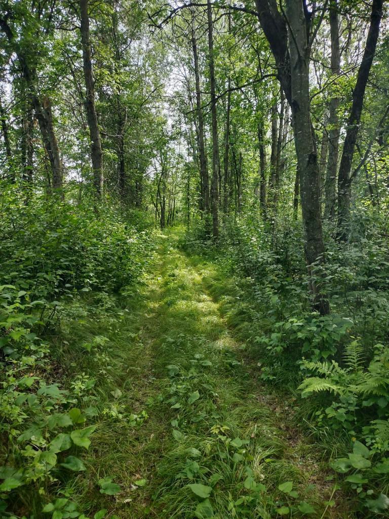Xxxx 159th Avenue Sebeka, MN 56477 - Photo 26 of 39