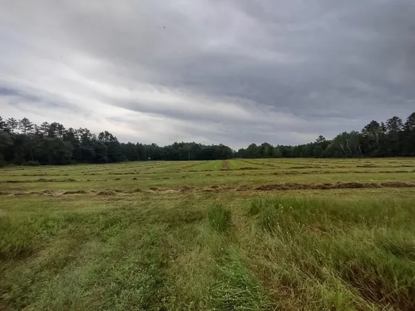 $359,000 | Xxxx 159th Avenue, Sebeka, MN 56477