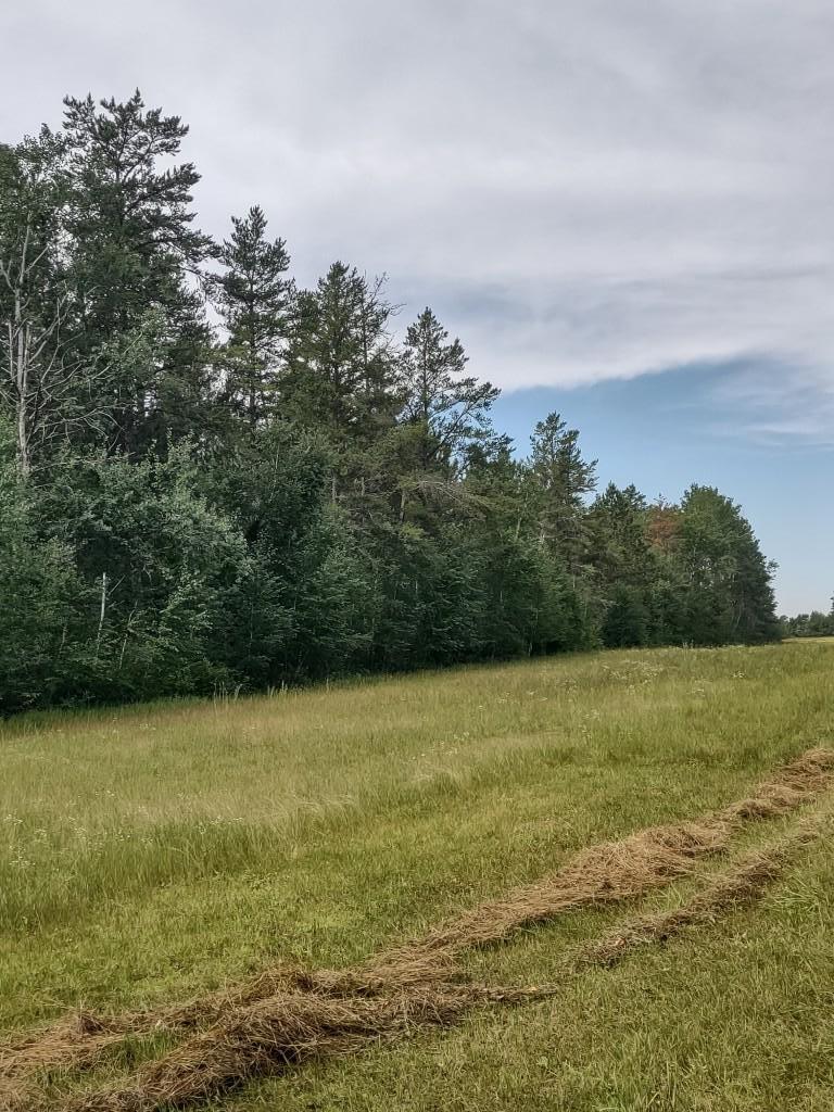 Xxxx 159th Avenue Sebeka, MN 56477 - Photo 32 of 39