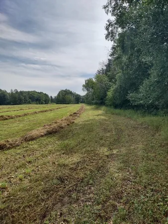 $359,000 | Xxxx 159th Avenue, Sebeka, MN 56477