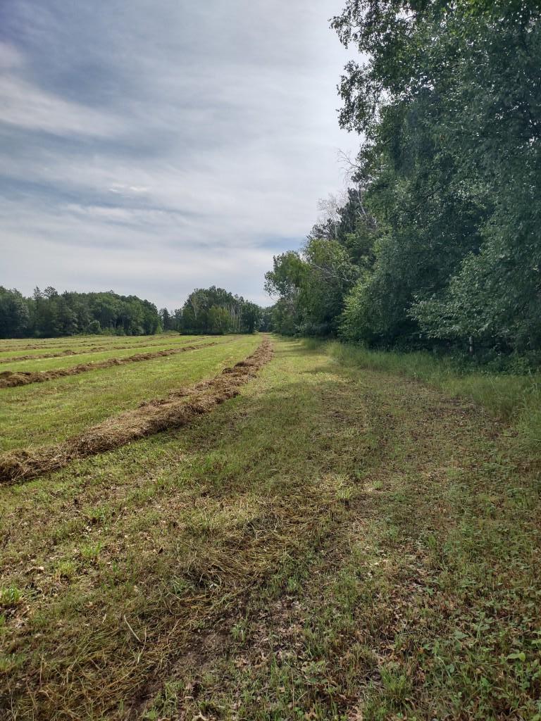Xxxx 159th Avenue Sebeka, MN 56477 - Photo 33 of 39