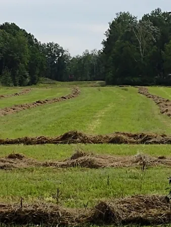 $359,000 | Xxxx 159th Avenue, Sebeka, MN 56477