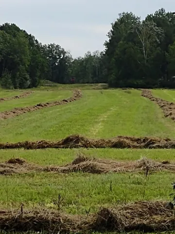 $378,000 | Xxxx 159th Avenue, Sebeka, MN 56477