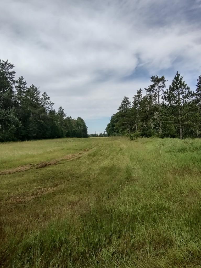 Xxxx 159th Avenue Sebeka, MN 56477 - Photo 37 of 39
