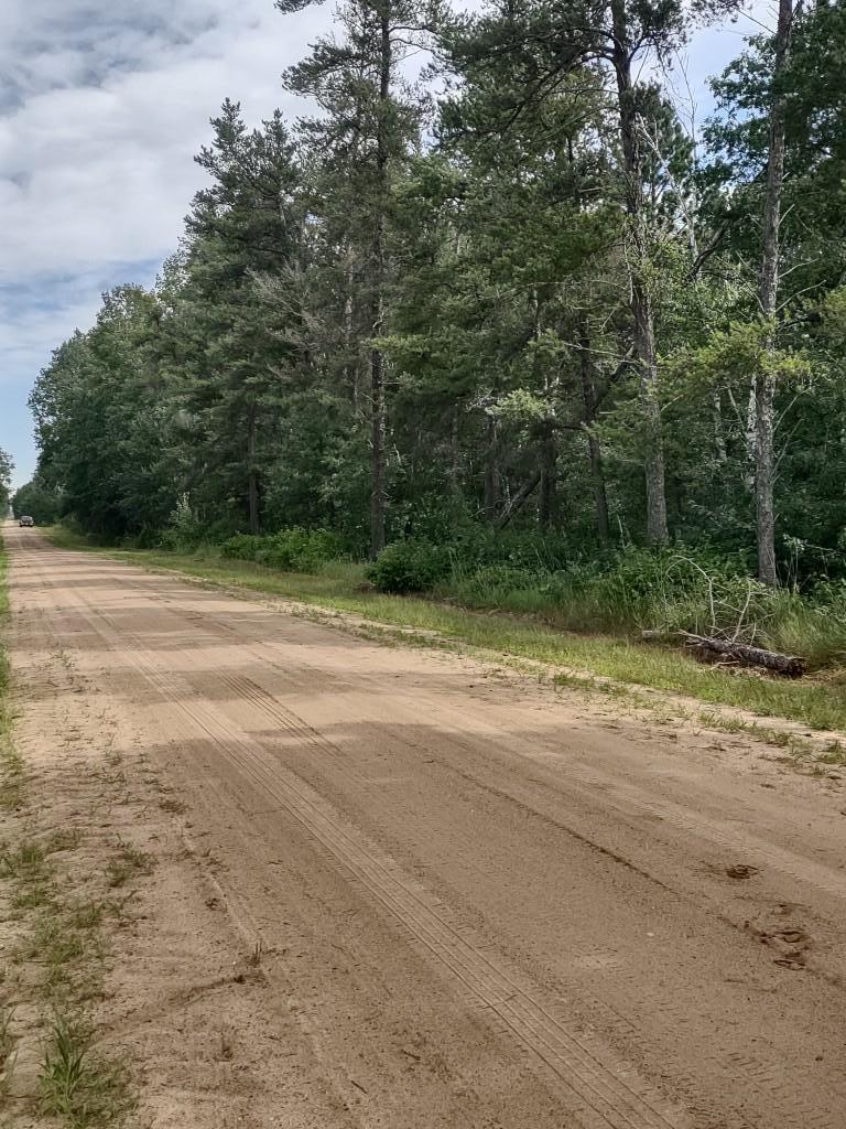 Xxxx 159th Avenue Sebeka, MN 56477 - Photo 5 of 39