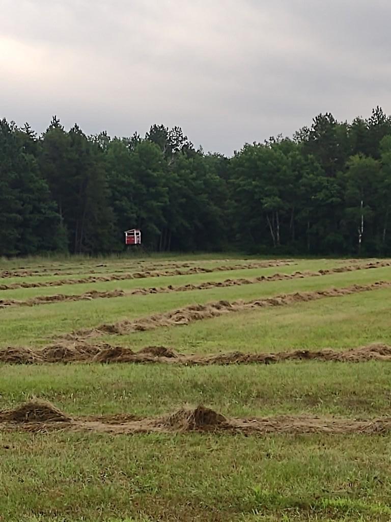 Xxxx 159th Avenue Sebeka, MN 56477 - Photo 7 of 39