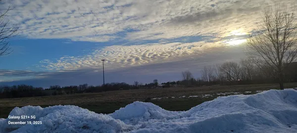 a view of a lake in middle of the forest