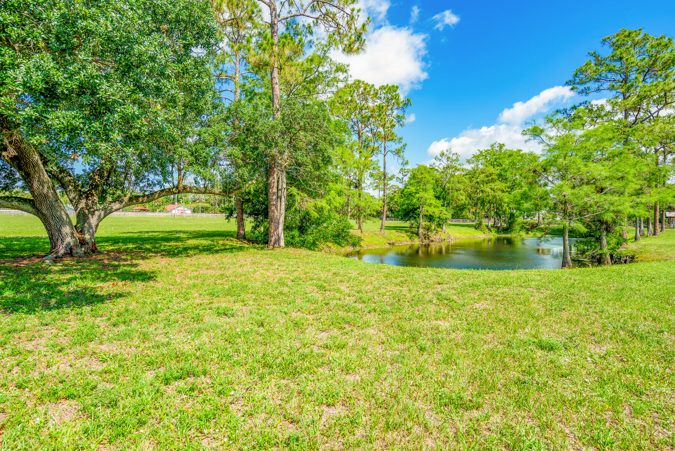 13260 Collecting Canal Road Loxahatchee, FL 33470 - Photo 33 of 37 Pond