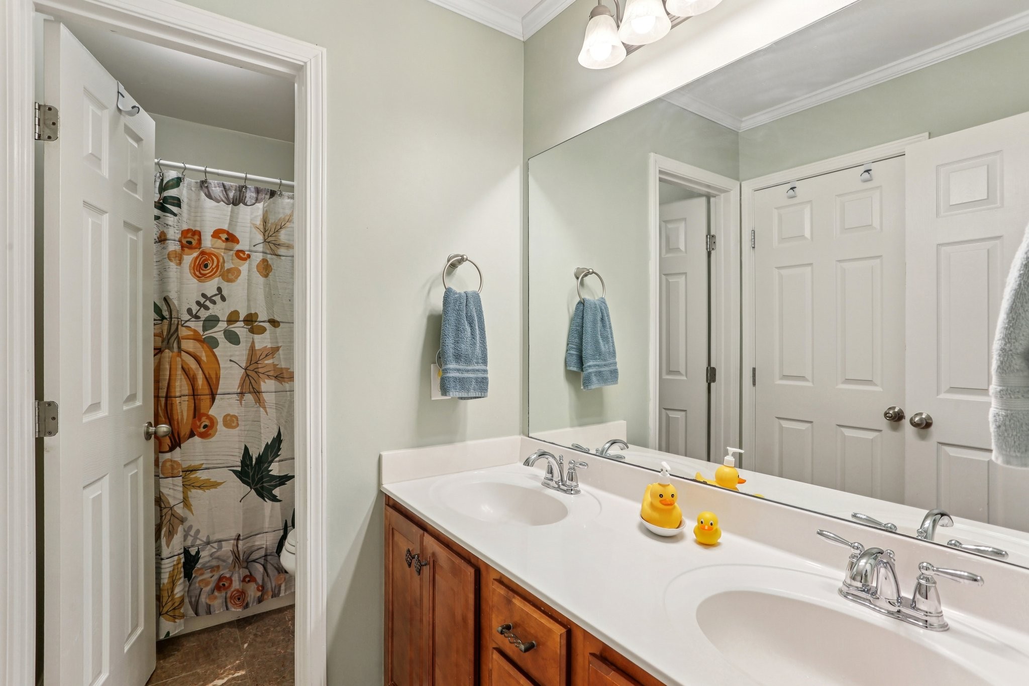 5017 Saunders Terrace Spring Hill, TN 37174 - Photo 38 of 52 a bathroom with double vanity sink and a mirror