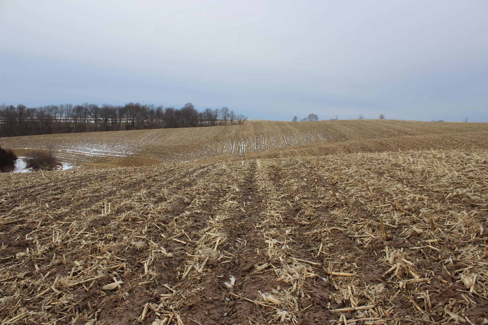 0 484th Avenue Baldwin, IA 52207 - Photo 3 of 15 Gallery Image 3